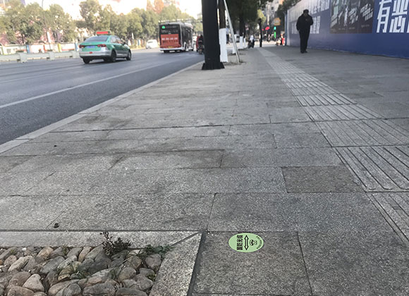 dr_img2